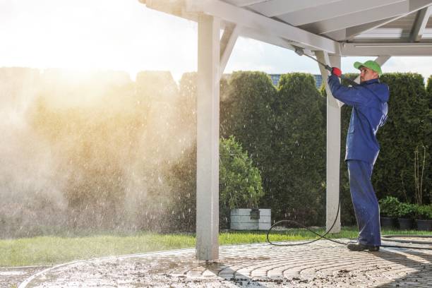 Best Gutter Cleaning  in Kingsford, MI