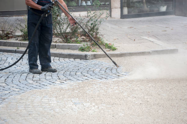 Best Roof Washing  in Kingsford, MI
