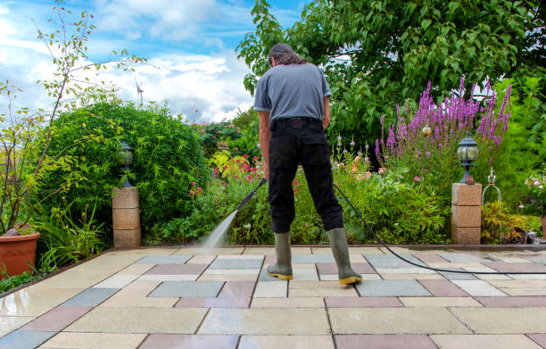 Best Pre-Holiday Cleaning  in Kingsford, MI